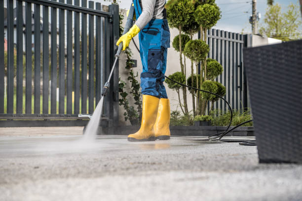 Animal Enclosure Cleaning in Flanders, NY